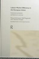 Cover of: Labour Market Efficiency in the European Union by Thomas Kruppe