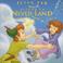 Cover of: Return to Neverland