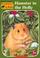 Cover of: Hamster in the Holly (Animal Ark Series #35)