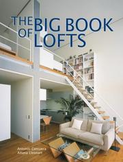 Cover of: The Big Book of Lofts (Big Book of)