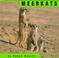 Cover of: Meerkats (Animals (Mankato, Minn.).)