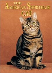 Cover of: The American Shorthair Cat (Learning About Cats) by 