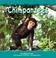 Cover of: Chimpanzees