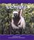 Cover of: Lemurs