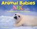 Cover of: Animal babies ABC
