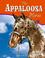 Cover of: The Appaloosa Horse (Edge Books)