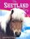 Cover of: The Shetland Pony (Edge Books)