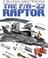 Cover of: The F/A-22 Raptor (Edge Books)