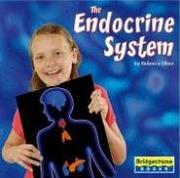 Cover of: The endocrine system | Rebecca Olien