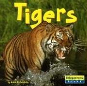 Cover of: Tigers by Adele Richardson