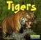 Cover of: Tigers