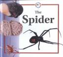 Cover of: The Spider (Life Cycle of A...) by Sabrina Crewe
