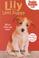 Cover of: Lily the Lost Puppy (Puppy Friends)