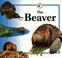 Cover of: Beaver (Life Cycle of A...)