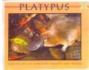 Cover of: Platypus (Mondo Animals)
