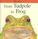 Cover of: From Tadpole to Frog (Lifecycles) by David Stewart