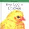 Cover of: From Egg to Chicken (Lifecycles)