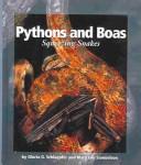 Cover of: Pythons and Boas by Gloria G. Schlaepfer