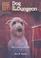 Cover of: Dog in the Dungeon (Animal Ark Hauntings #3)