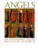 Cover of: Angels  by Malcolm Godwin