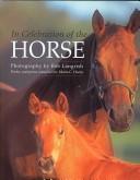 Cover of: In Celebration of the Horse