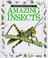 Cover of: AMAZING INSECTS (Eyewitness Juniors)
