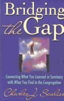 Cover of: Bridging the Gap by Charles J. Scalise