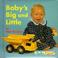 Cover of: Baby's Big and Little