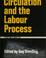 Cover of: Labour circulation and the labour process