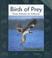 Cover of: Birds of Prey