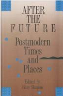 Cover of: After the Future: Postmodern Times and Places (Contemporary Studies in Philosophy and Literature, 2)
