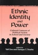 Cover of: Ethnic Identity and Power by 