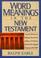 Cover of: Word Meanings in the New Testament