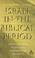Cover of: Israel in the Biblical period