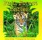 Cover of: Rain Forest Babies (Books for Young Readers)