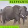 Cover of: Elephants (Animals)