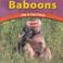 Cover of: Baboons