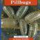 Cover of: Pillbugs (Schaffer, Donna. Life Cycles.)