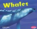 Cover of: Whales by 