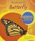Cover of: The Life Cycle of a Butterfly (Life Cycles)