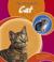 Cover of: The Life Cycle of a Cat (Life Cycles)