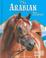 Cover of: The Arabian Horse (Edge Books: Horses)