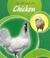 Cover of: The Life Cycle of a Chicken (Life Cycles)
