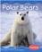 Cover of: Polar Bears (Polar Animals)