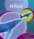 Cover of: The Life Cycle of a Whale (Life Cycles)