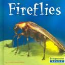 Cover of: Fireflies (World of Insects)