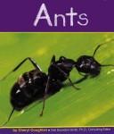 Cover of: Ants (Insects)