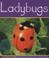 Cover of: Ladybugs (Insects)