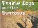 Cover of: Prairie Dogs and Their Burrows