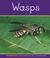 Cover of: Wasps (Insects)